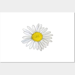 Daisy Posters and Art